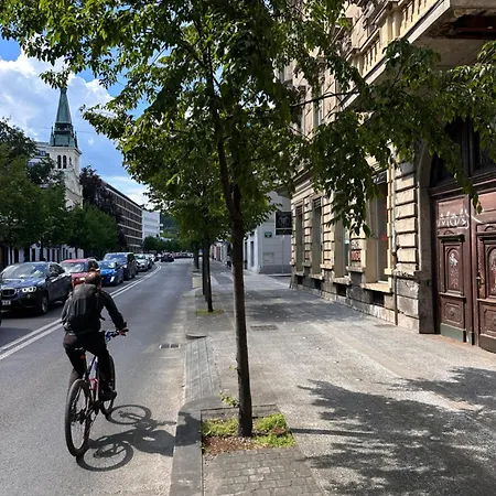 Moderni S Skandinavskim Pridihom Homestay Ljubljana